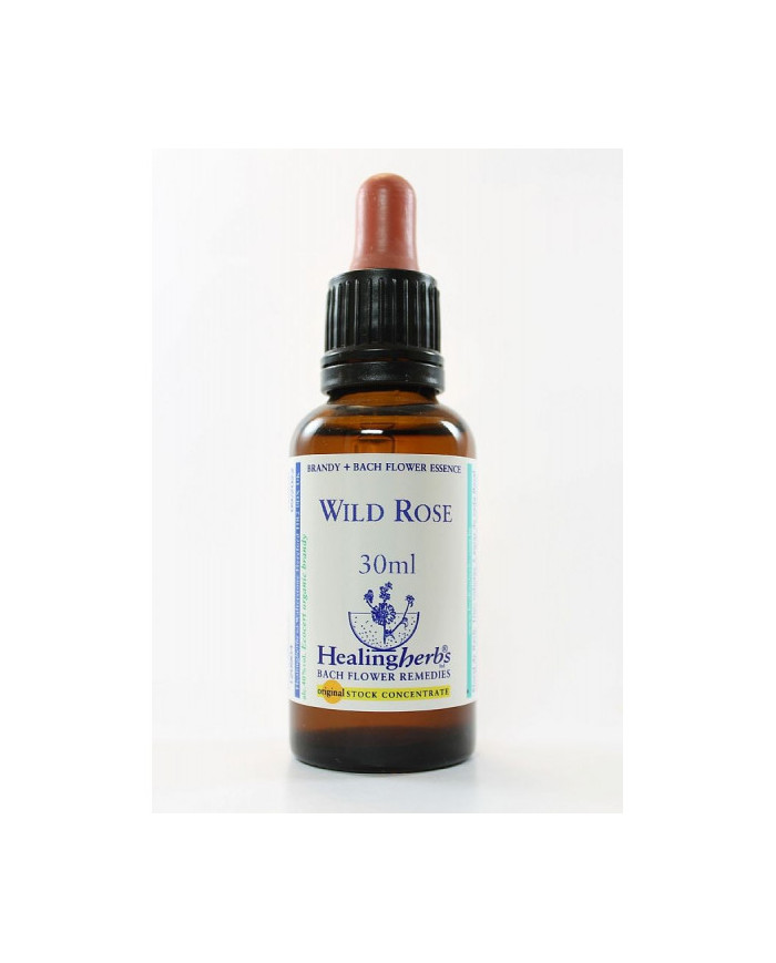 BACH HEALINGHERBS Wild Rose 30 ml.