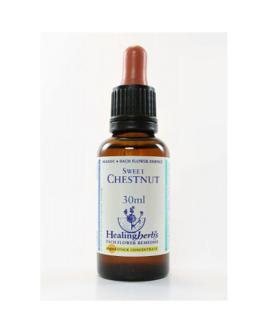 BACH HEALINGHERBS Sweet Chestnut 30 ml.