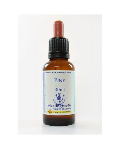 BACH HEALINGHERBS  Pine 30 ml.