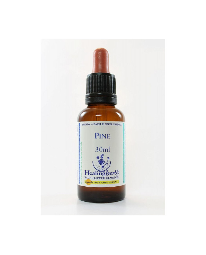 BACH HEALINGHERBS  Pine 30 ml.
