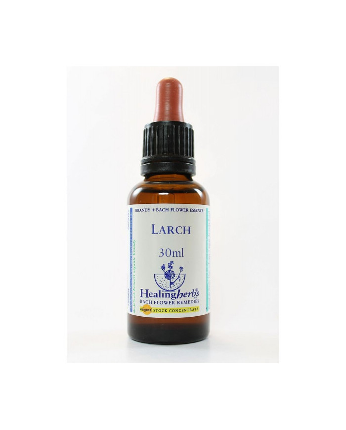BACH HEALINGHERBS Larch 30 ml.