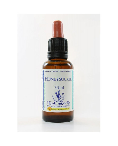 BACH HEALINGHERBS Honeysuckle 30 ml.