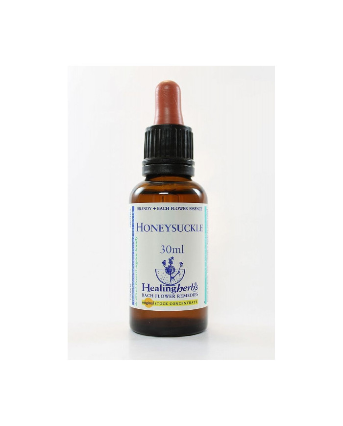 BACH HEALINGHERBS Honeysuckle 30 ml.