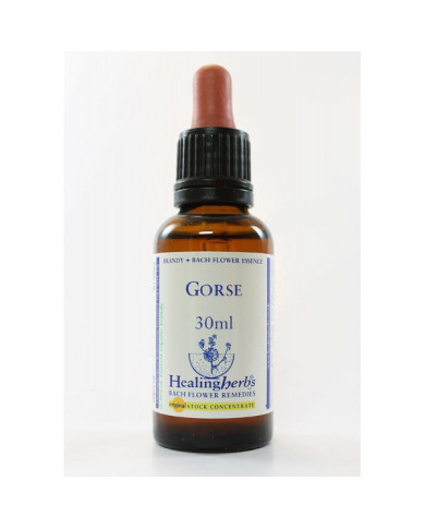 BACH HEALINGHERBS Gorse 30 ml.