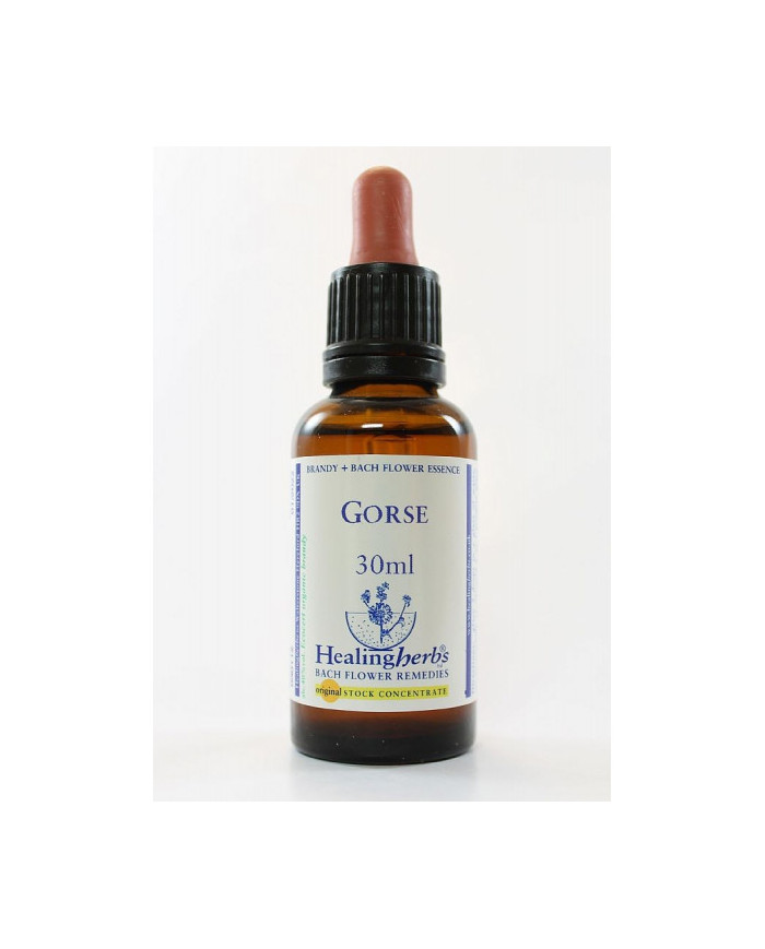 BACH HEALINGHERBS Gorse 30 ml.