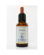 BACH HEALINGHERBS Gorse 30 ml.