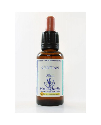 BACH HEALINGHERBS Gentian 30 ml.