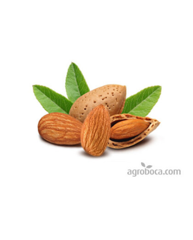 GLUTEN CERO Harina de Almendra 100 % Natural 1 Kg.