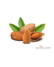 GLUTEN CERO Harina de Almendra 100 % Natural 1 Kg.