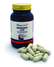PAMIES VITAE Memory Life Forte 60 Cápsulas