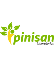 Pinisan