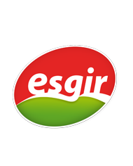 Esgir